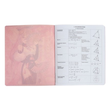 Subject notebook, 48 sheets, cell, geometry, erichkrause "manga", cardboard cover of twin-lax, unit offset white 100%, information block-2
