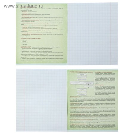 A set of subject notebooks of 48 sheets "Neon", 10 items with reference material, cover coated cardboard, UV-lax, OFSET BOCom-17