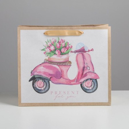 Gift Craft horizontal package, packaging, Present for You, Ml 27 x 23 x 11.5 cm-1