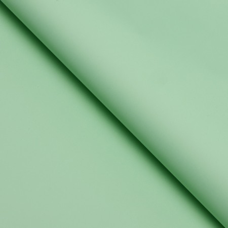 Flower film tinted, matte, light green, 56x 56 cm, 65 μm-1