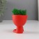 Kashpo concrete mini "Mr. Green" Mizaru with moss red 5.5x6.5x6.5 cm (moss green stabil)