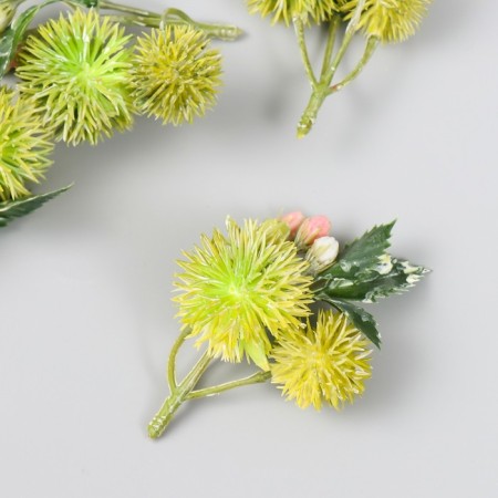 Flowers for decorating "echinops with berries" light green 8 cm-1