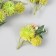 Flowers for decorating "echinops with berries" light green 8 cm