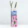 Shard Rosa Schrab "Lira", Kustovaya, 1 pc, spring 2024