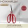Scissors for working with the Premium skin, mowed blade, 8 ", 20 cm, red color