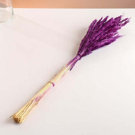 Set of dried flowers "Weinik", banch length 65 (+/- 6 cm), plum-3