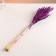 Set of dried flowers "Weinik", banch length 65 (+/- 6 cm), plum