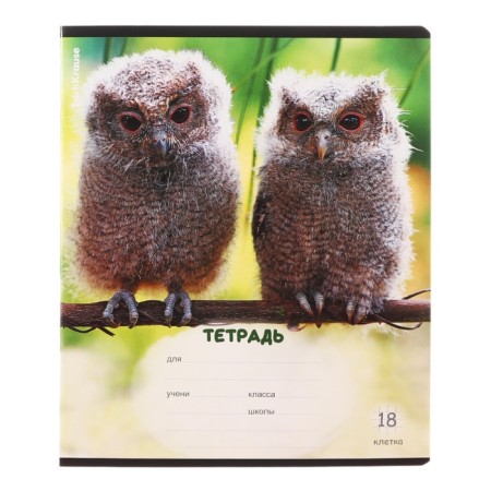 Notebook of 18 sheets in the Erichkrause “Fluff” cage, covered cartoon, OFSET block, mix-4