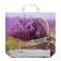 Package "Basket of Tyvice", polyethylene with a loop pen, 38 x 34 cm, 70 μm