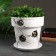 Flower pot "Birds" 7 l, white