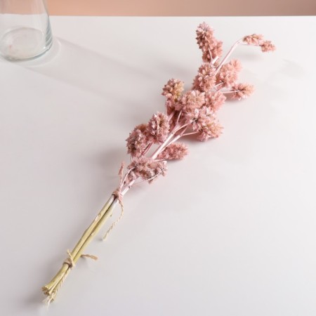Set of dried flowers "licorice", ban 3 pcs, length 60 (+/- 6 cm), pink-3