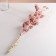 Set of dried flowers "licorice", ban 3 pcs, length 60 (+/- 6 cm), pink