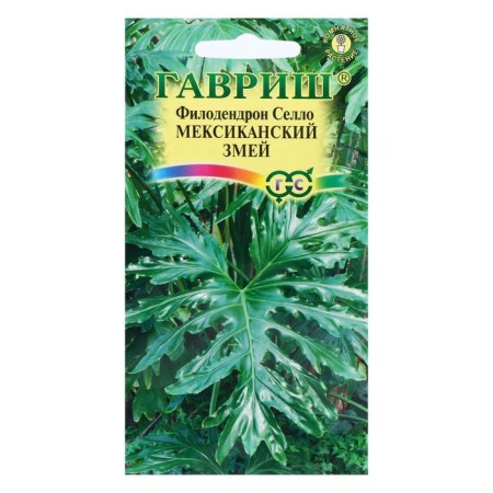 Seeds of indoor flowers Filodendron Sello "Mexican Serpent", 5 pcs.