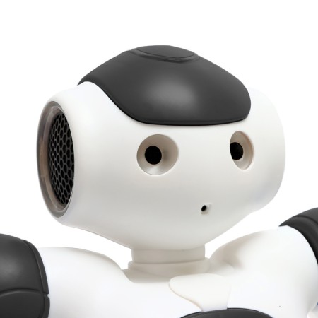 Robot radio -controlled "Hunter", light and sound effects, works on the battery, black color is black-4