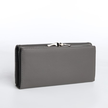 Women's wallet on magnet, gray color-1