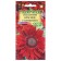 Flower seeds sunflower "red sun", o, 0.5 g