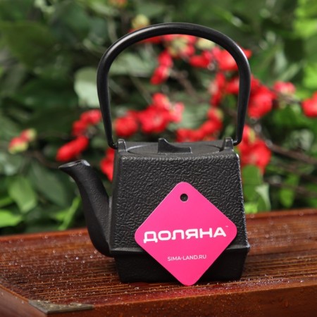 The teapot is a cast -iron shade “Boken. Ethno ", 700 ml, with sieve, with enameled coating, black color-3