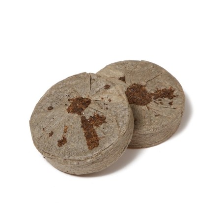 Mini-Pirate for seedlings: peat tablet D = 4.2 cm (18 pcs.), Greenhouse 36 × 25 cm, green-3