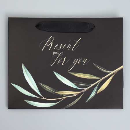 Gift Laminated Horizontal Package, Packaging, Present Just for You, 22 x 17.5 x 8 cm-5