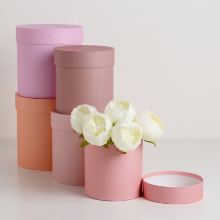 A set of hats 5 in 1 “Cream”, 20 × 19.5, 15 x 15 cm
