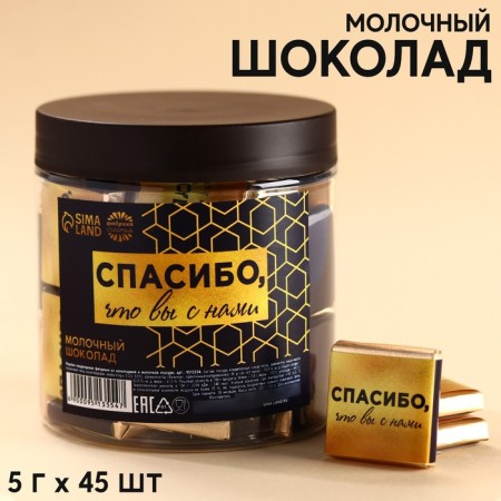 Chocolate “Thank you for us” in the bank, 5 g. X 45 pcs.