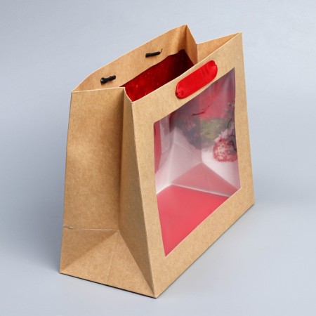 Craftsman package with a plastic window "New Year's Gift", 24 x 20 x 11cm, New Year-4