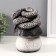New Year's piggy bank "Snake on the mushroom" 12x11x18 cm