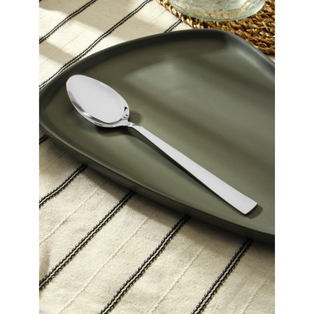 A spoon of stainless steel “Hokkaido”, length 20.5 cm, silver color