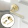 Latch (fashion 3186), interior, color gold