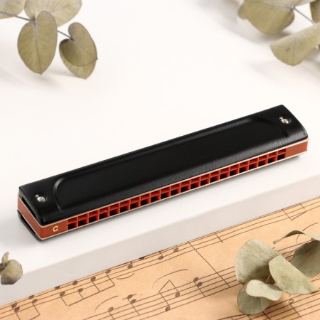 Music Life T22k Harly Tremolo, with a case-1
