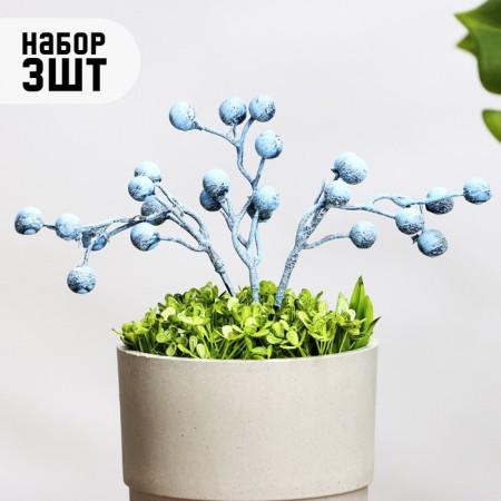 Set of plugs "Berries" 3pcs, blue, 20x4x4cm