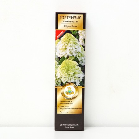 Hydrangea blizzard Patio Lux "Shuga Rush", 1 pc, tube, spring 2025