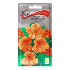 Seeds of flowers nasturtium stunted 