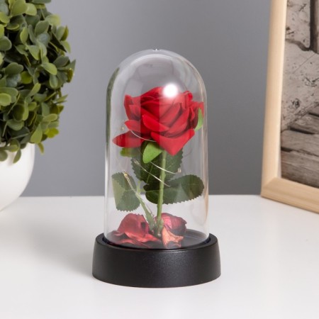 Night rose -rose LED 3XAG10 8.5x8.5x15.5 cm