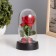 Night rose -rose LED 3XAG10 8.5x8.5x15.5 cm