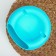 Plastic plate for seeds and nuts "PLETER", 20 × 11 cm, with a stand for the phone, color mix