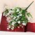 Chamomile