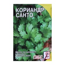 Coriander seeds of vegetable 