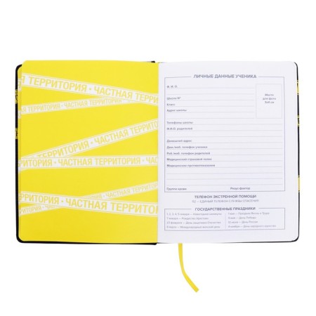 School diary for grades 1-11 Private Territory, hard cover with artificial leather foam, luminescent printing, 48 sheets, an offset block 80g/m2, universal cheat sheet-3