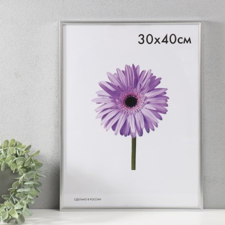 Photo frame plastic LIDA 30x40 cm silver
