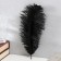 Feather of ostrich 25-30 cm, black