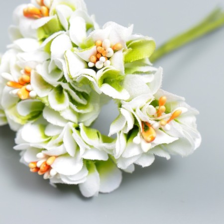 Flowers for decorating "Pion Lololipop" 1 bouquet = 6 colors white-green 9 cm-2