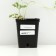 Occupational shelter, P9 pot, 1 pc, Spring 2024
