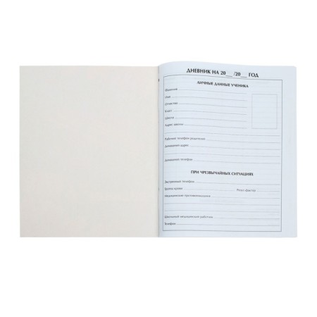 Universal diary for grades 1-11, "school", soft cover, 40 sheets-3