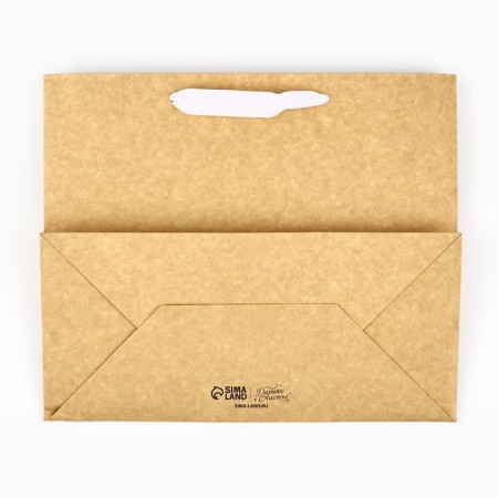 New Year's Craft gift package with a plastic window “Happy New Happiness”, 24 x 20 x 11cm, New Year-5