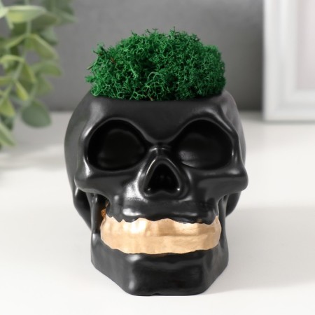 Concrete Kashpo "Skull Money" with moss 7x11 cm black with golden teeth (moss green stabil)