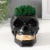 Concrete Kashpo "Skull Money" with moss 7x11 cm black with golden teeth (moss green stabil)