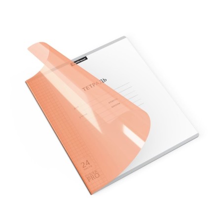 Notebook 24 sheets in the Erichkrause Coverpro NEON Classica, plastic cover, OFSET BOLK, 100%whiteness, Orange-1