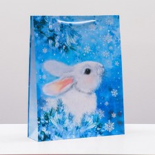 Gift package 