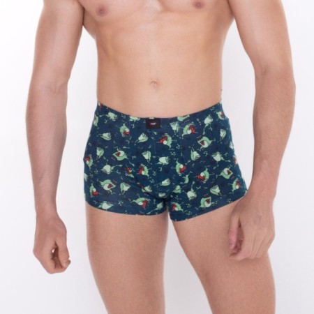 Panties men's boxers "toads", blue color, size 48 (m)